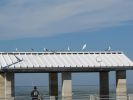 FL5_17.jpg