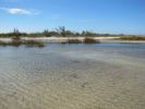 FL5_38.jpg