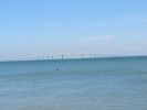 FL5_51.jpg