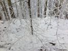 IMG_0802_29.jpg