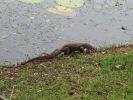 IMG_4037_44.jpg