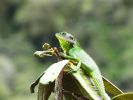 IMG_4865_22.jpg