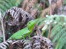 IMG_4894_26.jpg