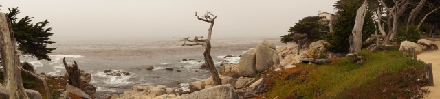 DSC01520.jpg