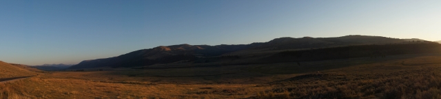 DSC01787.jpg