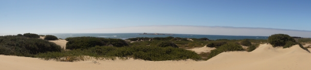 DSC03755.jpg