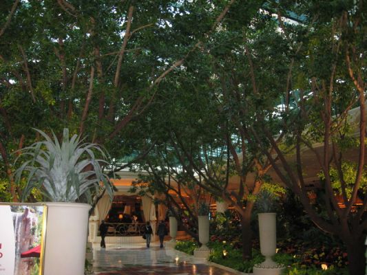 Wynn
