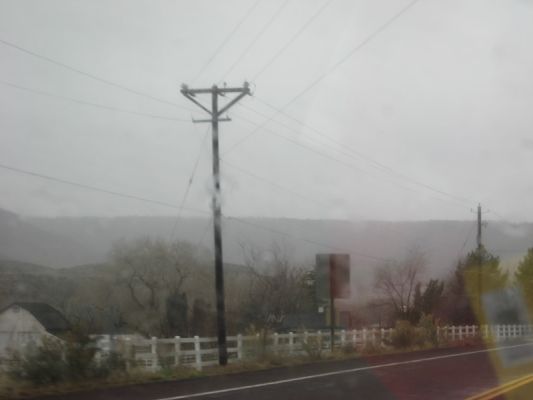 REGEN
