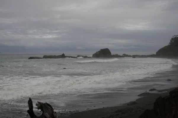 DSC06214.jpg