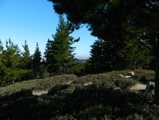 DSCN0786.JPG