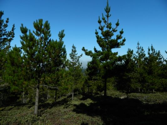 DSCN0788.JPG