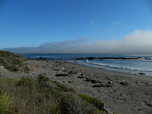 DSCN0847.JPG
