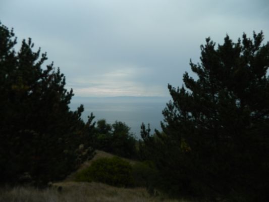 DSCN0961.JPG