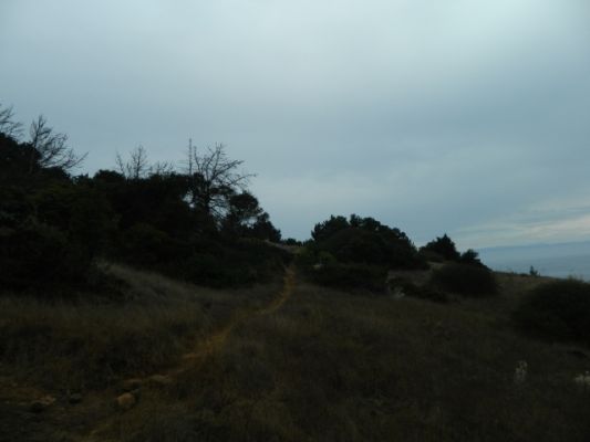 DSCN0963.JPG