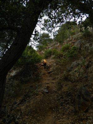 DSCN0980.JPG