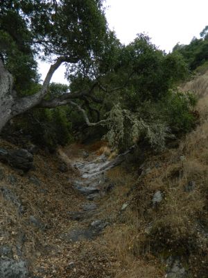 DSCN0990.JPG