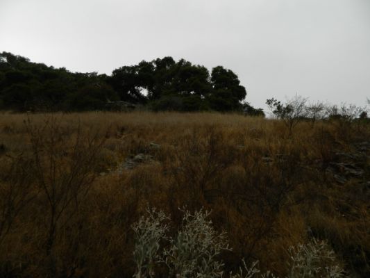 DSCN0991.JPG