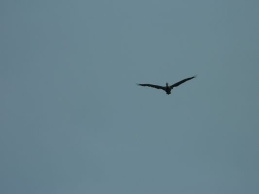 DSCN1033.JPG