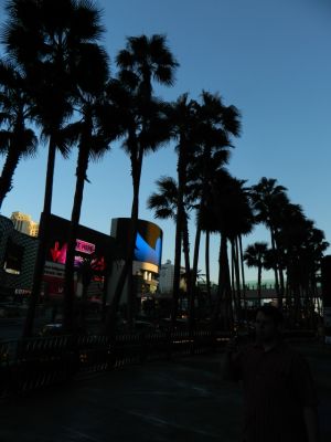 DSCN1085.JPG