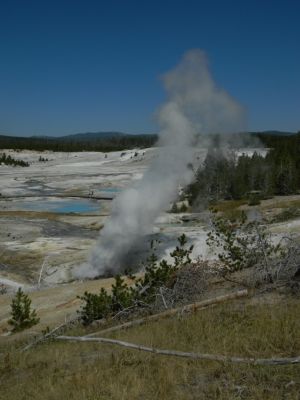 DSCN1232.JPG