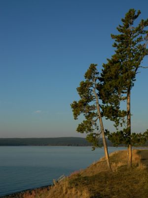 DSCN1372.JPG