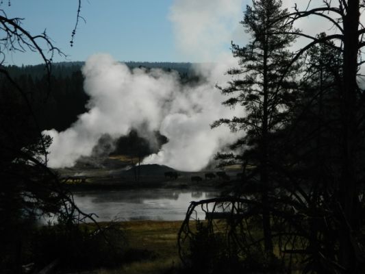 DSCN1381.JPG