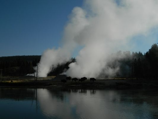 DSCN1383.JPG