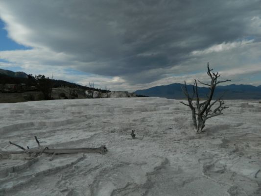 DSCN1461.JPG
