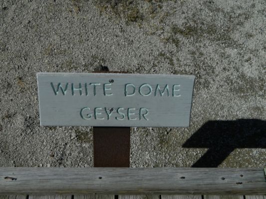 DSCN1609.JPG