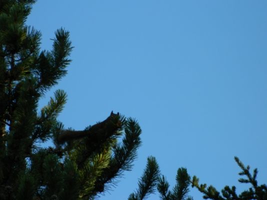 DSCN1690.JPG