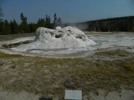 DSCN1725.JPG
