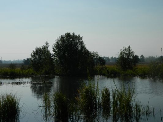 DSCN1882.JPG