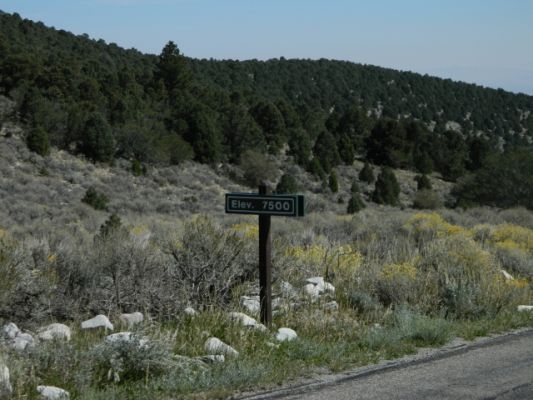 DSCN2028.JPG