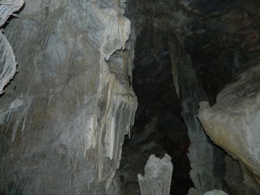 DSCN2049.JPG