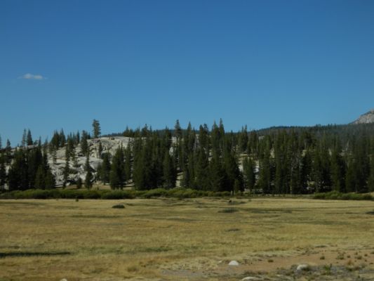 DSCN2111.JPG