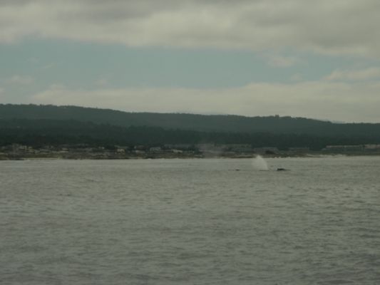 DSCN2163.JPG