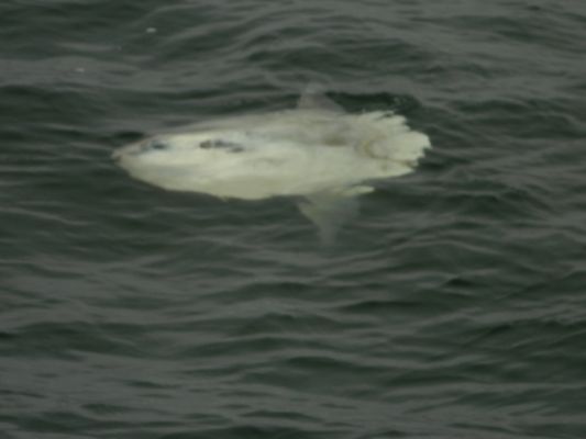 DSCN2168.JPG