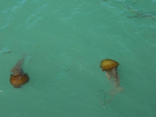 DSCN2174.JPG