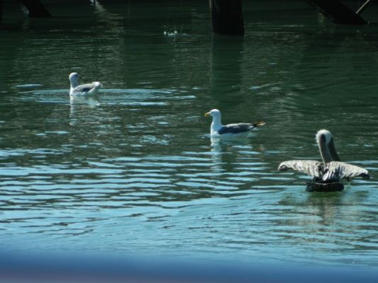DSCN2179.JPG