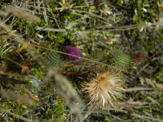 DSCN2225.JPG