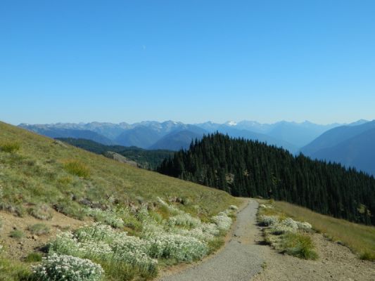 DSCN3166.JPG