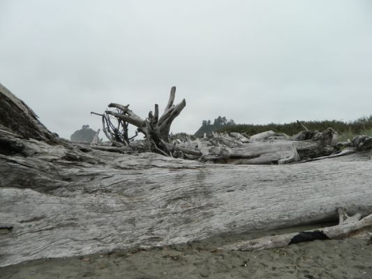 DSCN3268.JPG