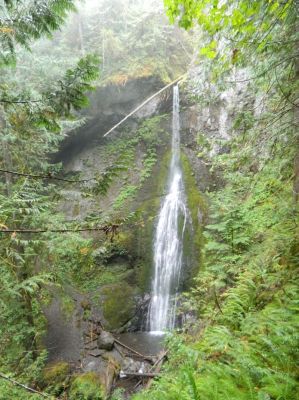 DSCN3397.JPG