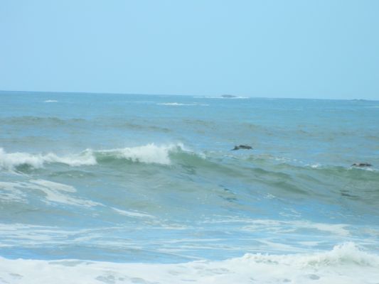DSCN3539.JPG