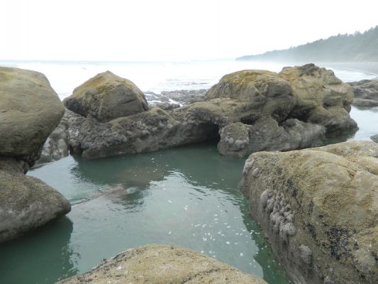 DSCN3559.JPG