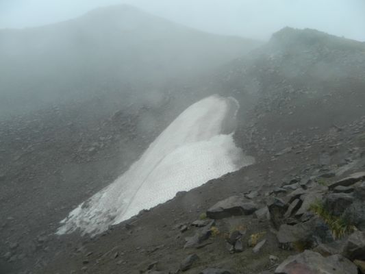 DSCN3595.JPG