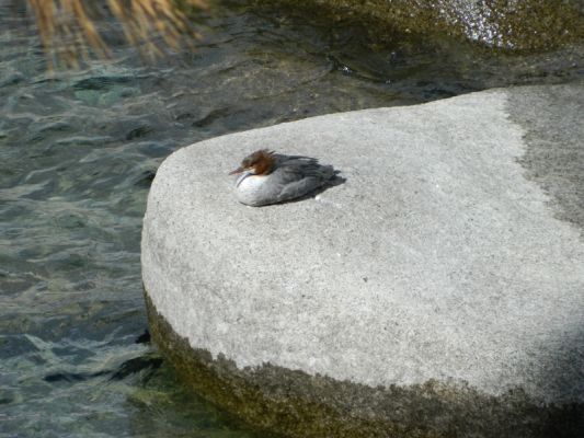 DSCN4046.JPG