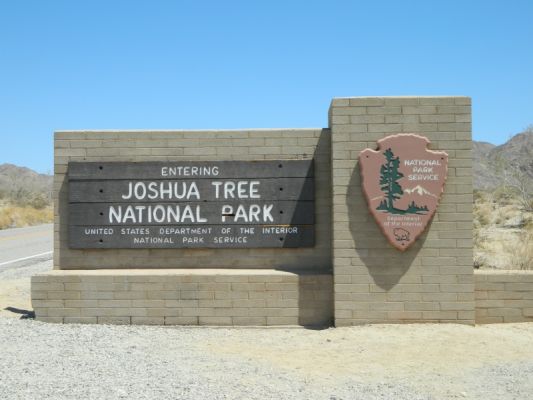 DSCN4184.JPG