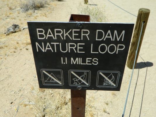 DSCN4206.JPG