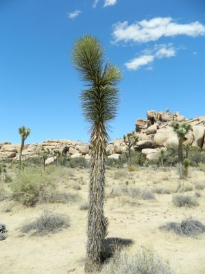 DSCN4215.JPG